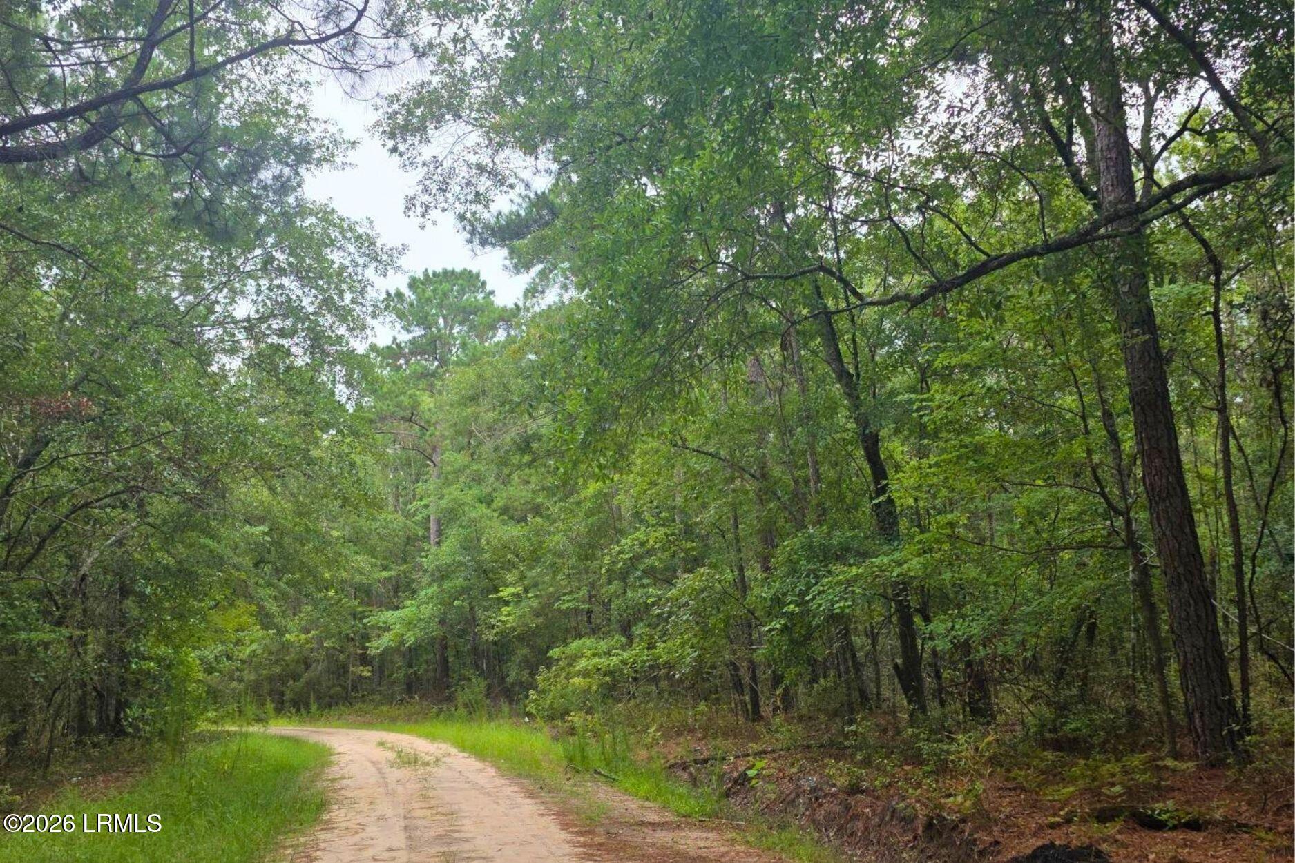 0 Wade Hampton Road Hampton, SC 29924 - Photo 2 of 16 2