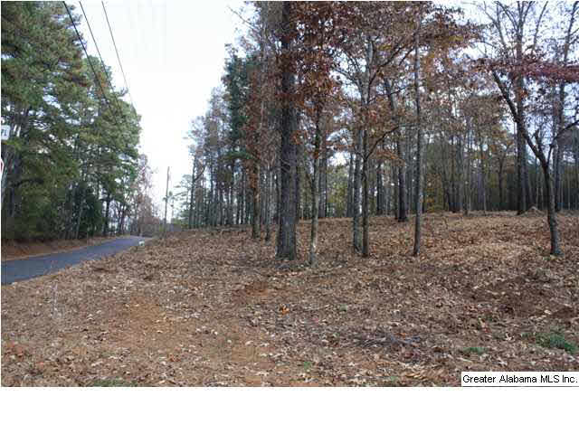 Peyton Place, Unit 3 Weaver, AL 36277 - Photo 10 of 40