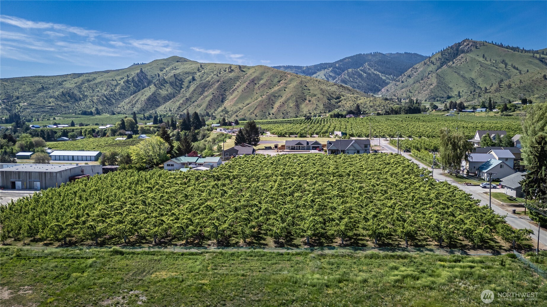 3925 Strutzel Road Monitor, WA 98836 - Photo 4 of 19
