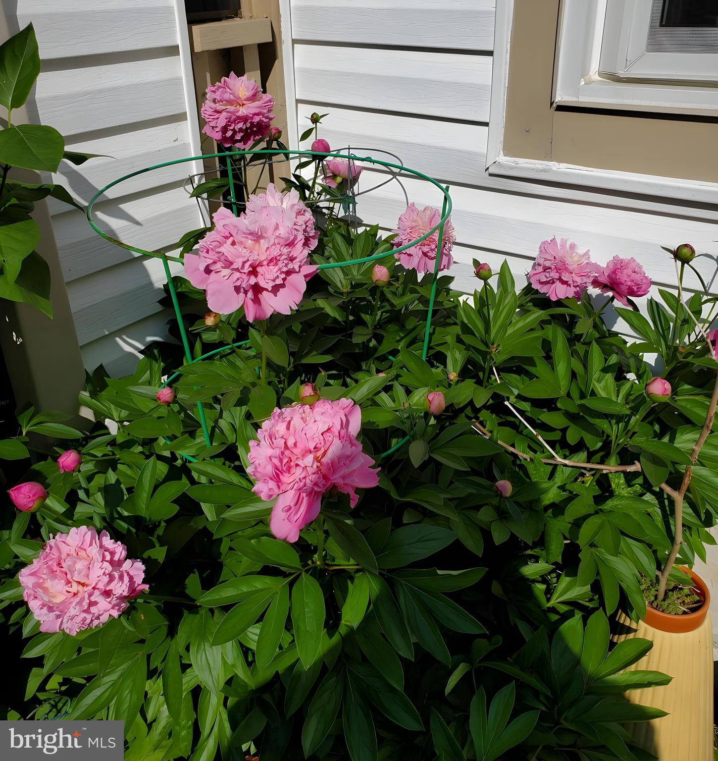 602 Churchill Road, Unit 602A Bel Air, MD 21014 - Photo 26 of 77 Garden Area