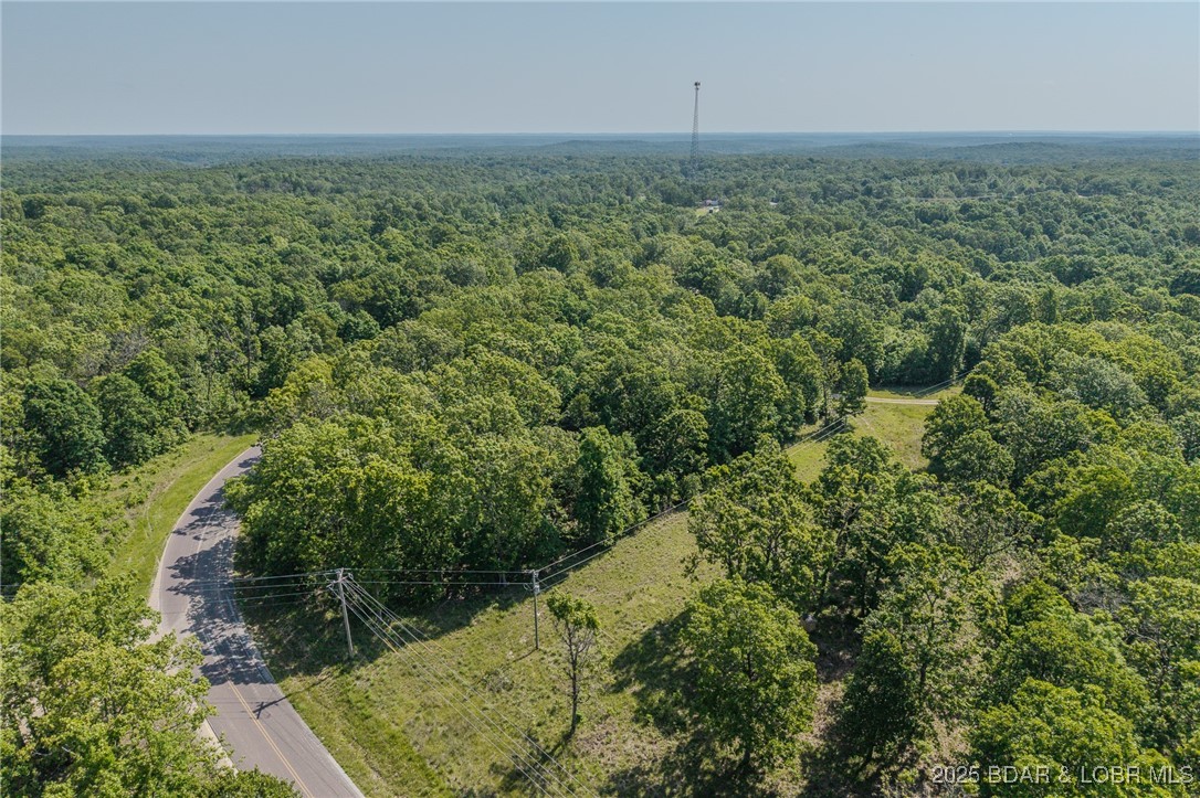 Lot W-2 Ivy Bend Road Stover, MO 65078 - Photo 3 of 11