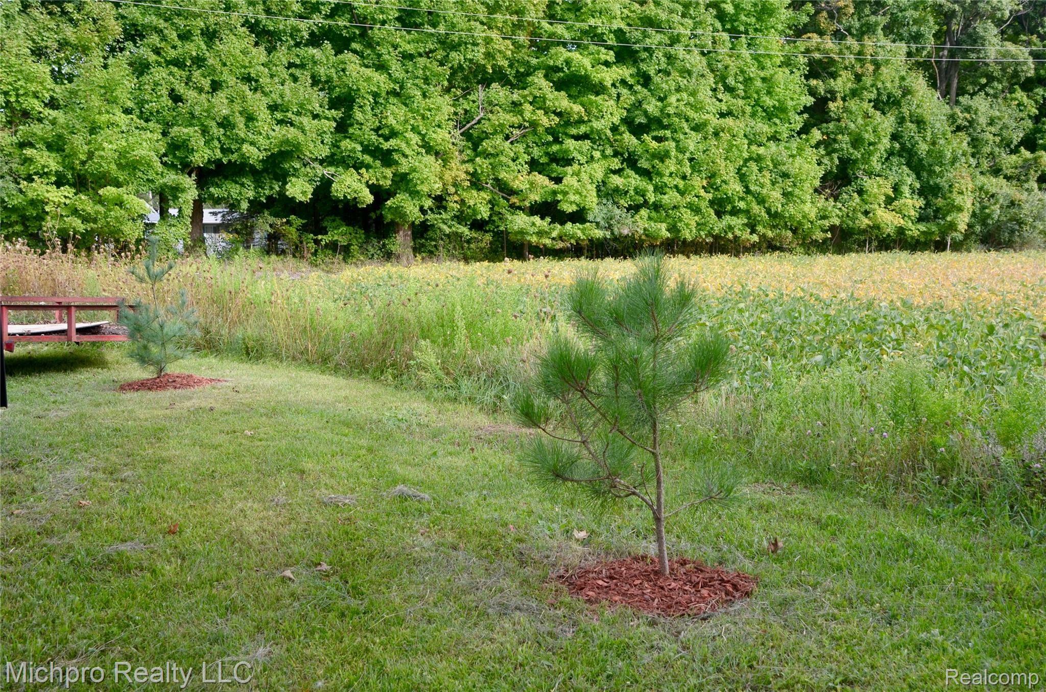 4331 5 Lakes Road North Branch, MI 48461 - Photo 55 of 68 4331_Five_Lakes - 66.jpeg