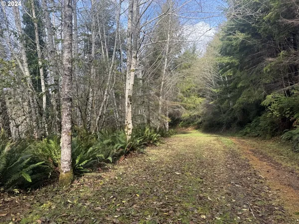 $229,000 | 0 Potato Bottom Road, Unit 603, Lakeside, OR 97449
