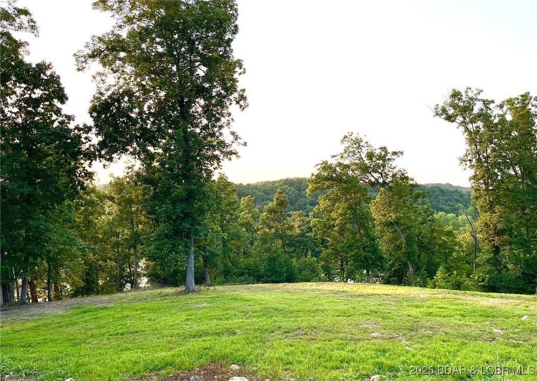 26450 Eagle Point Road, Unit (70' LAKEFRONT) Barnett, MO 65011 - Photo 47 of 52 Rear west side located behind shouse