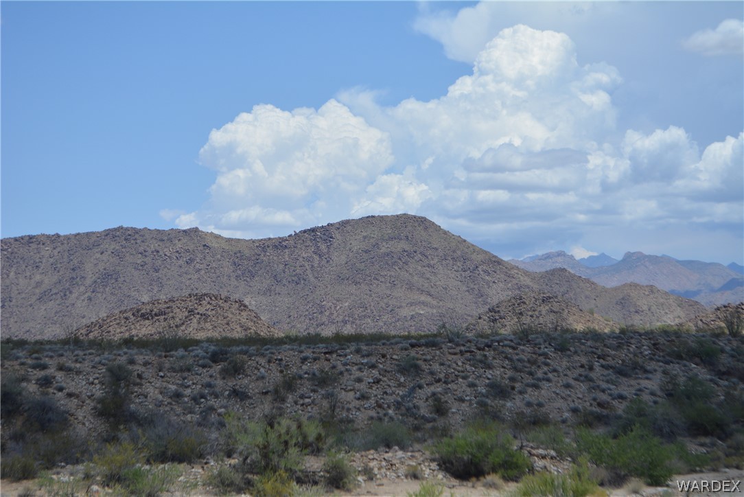 208-24-134 Cameron Road Yucca, AZ 86438 - Photo 13 of 86