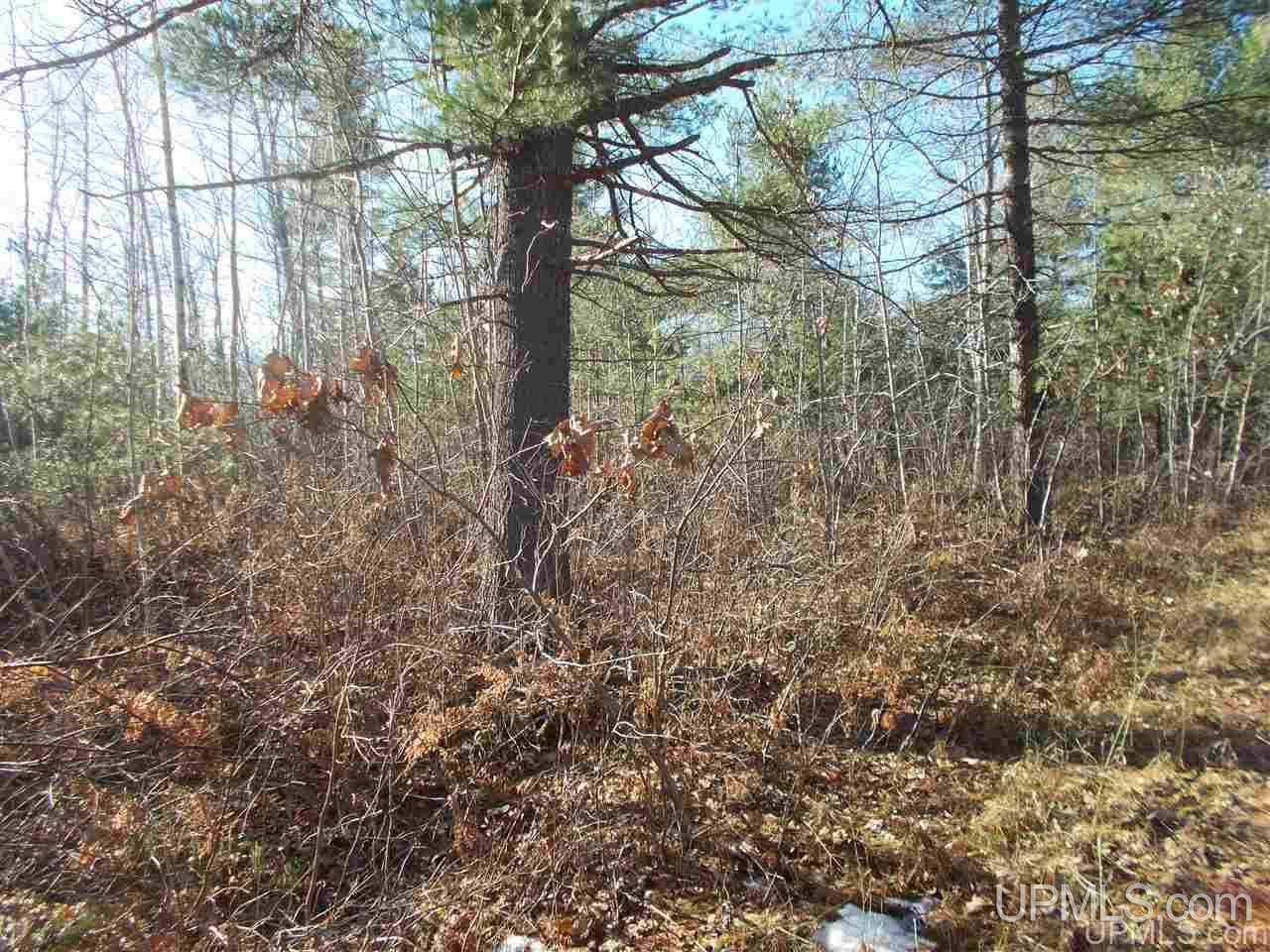 74-acres 74-acres Off Co Road Negaunee, MI 49866 - Photo 12 of 17