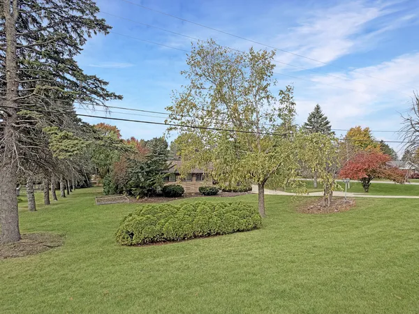 a garden with lots of trees and buildings in the background