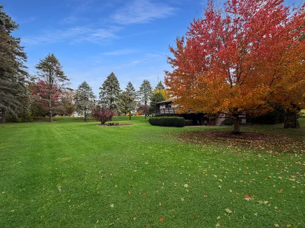 a view of yard with trees