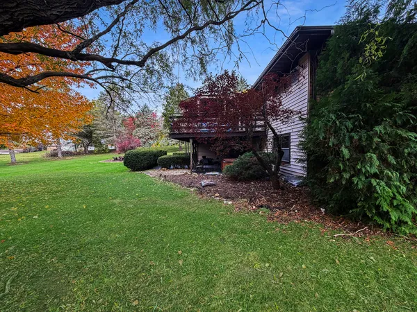 a view of a backyard with plants and a big yard