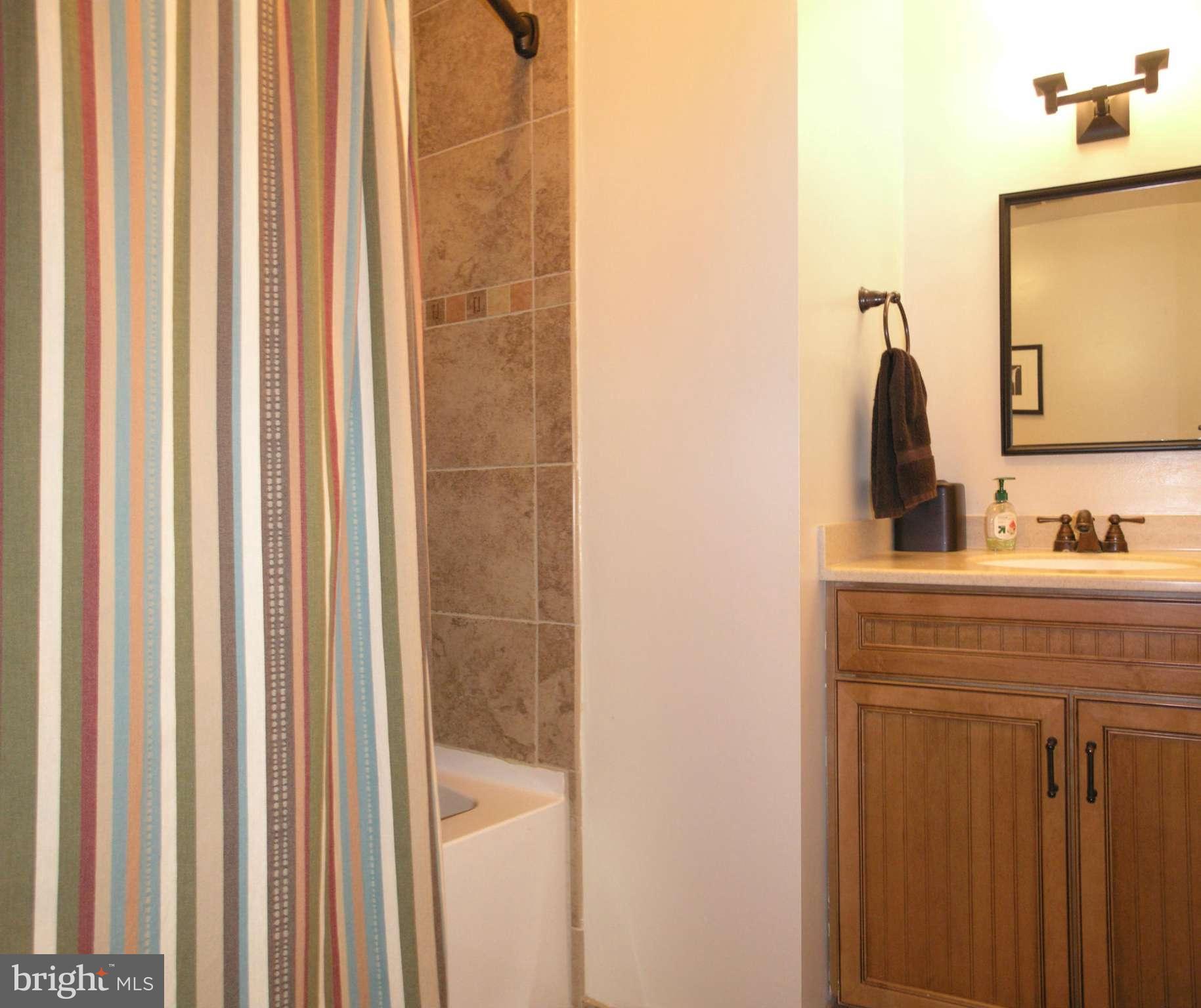 1848 Golf View Court Reston, VA 20190 - Photo 16 of 25 Bath