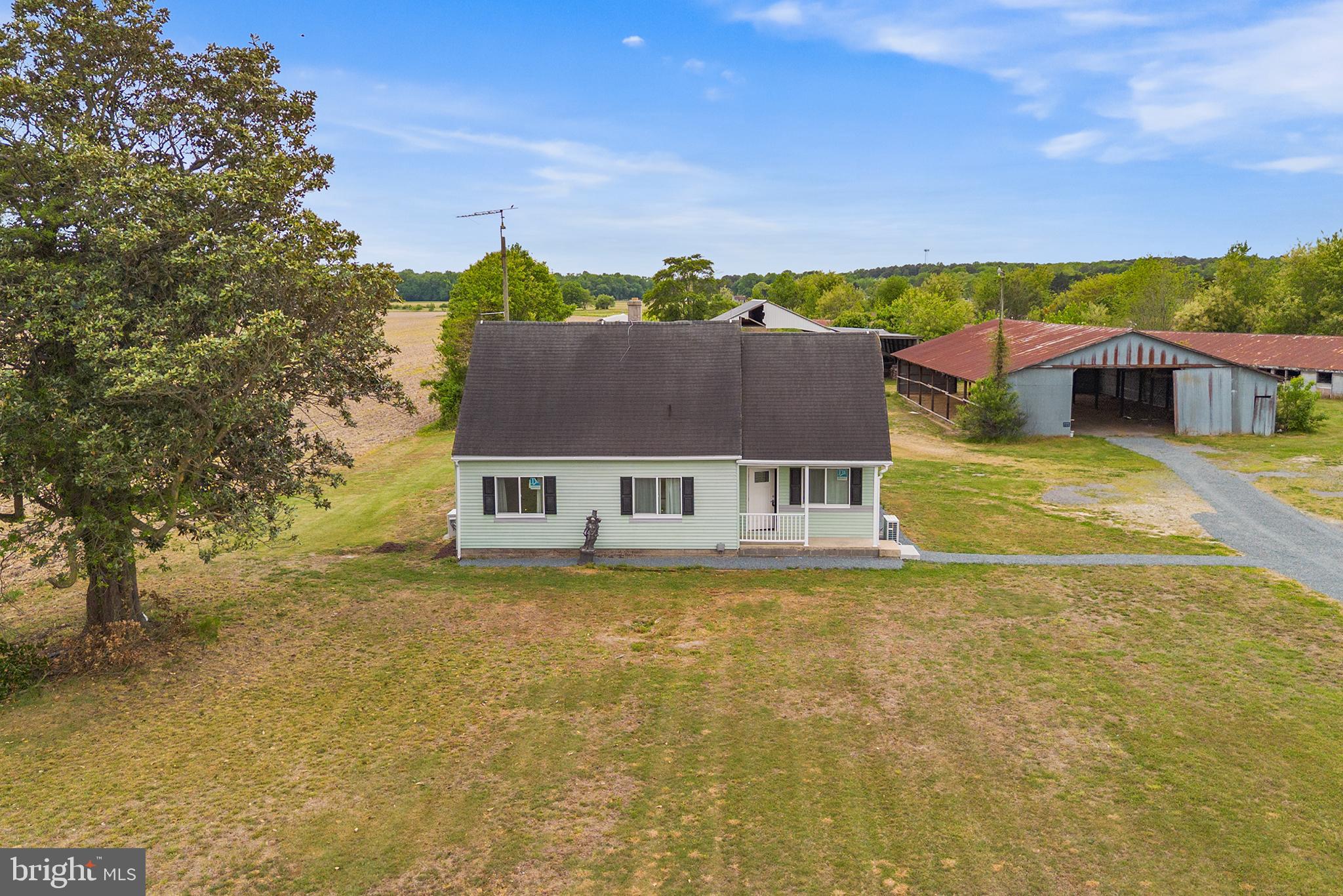 25699 Auction Road Federalsburg, MD 21632 - Photo 44 of 46