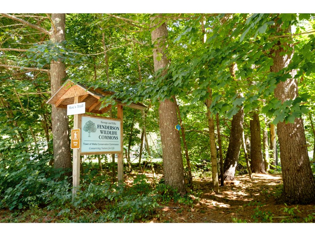 324 Horace Mills Road Wells, ME 04090 - Photo 12 of 36