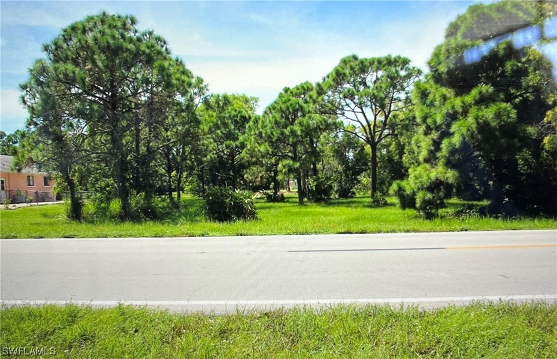 a view of road and trees in the background