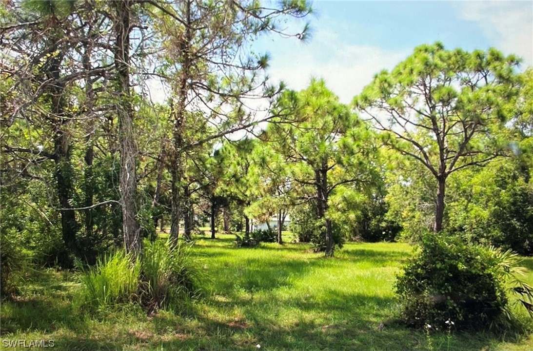 8761 Stringfellow Road St. James City, FL 33956 - Photo 3 of 5 a view of yard with green space