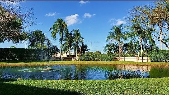 a view of a swimming pool with a garden