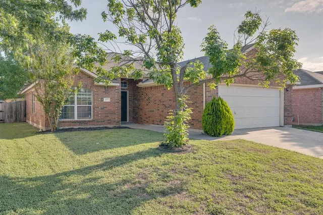 a view of a backyard with plants and large tree