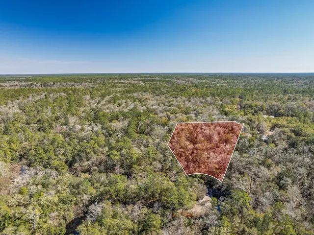 $150,000 | Lot 92 Cheyenne Drive, Sopchoppy, FL 32358