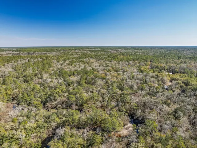 $150,000 | Lot 92 Cheyenne Drive, Sopchoppy, FL 32358