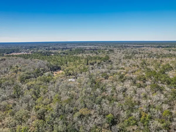 $150,000 | Lot 92 Cheyenne Drive, Sopchoppy, FL 32358