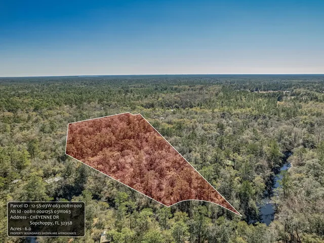 $150,000 | Lot 92 Cheyenne Drive, Sopchoppy, FL 32358