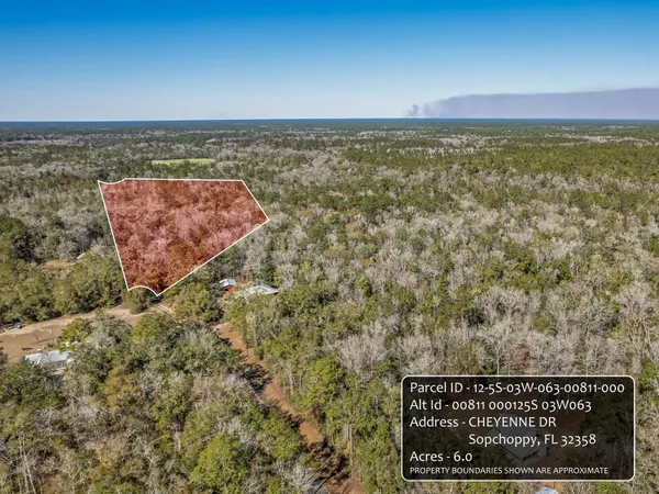 $150,000 | Lot 92 Cheyenne Drive, Sopchoppy, FL 32358