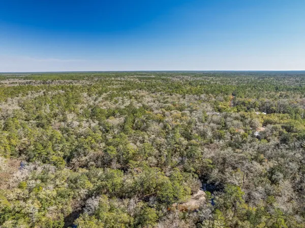 $150,000 | Lot 92 Cheyenne Drive, Sopchoppy, FL 32358
