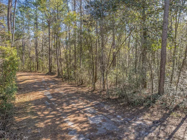 $150,000 | Lot 92 Cheyenne Drive, Sopchoppy, FL 32358