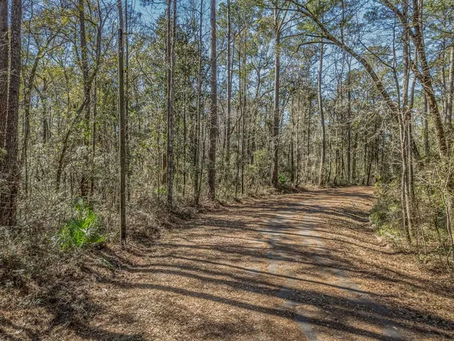 $150,000 | Lot 92 Cheyenne Drive, Sopchoppy, FL 32358