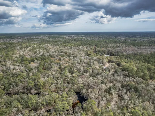 $150,000 | Lot 92 Cheyenne Drive, Sopchoppy, FL 32358