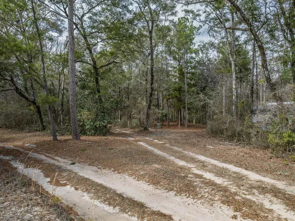 $150,000 | Lot 92 Cheyenne Drive, Sopchoppy, FL 32358