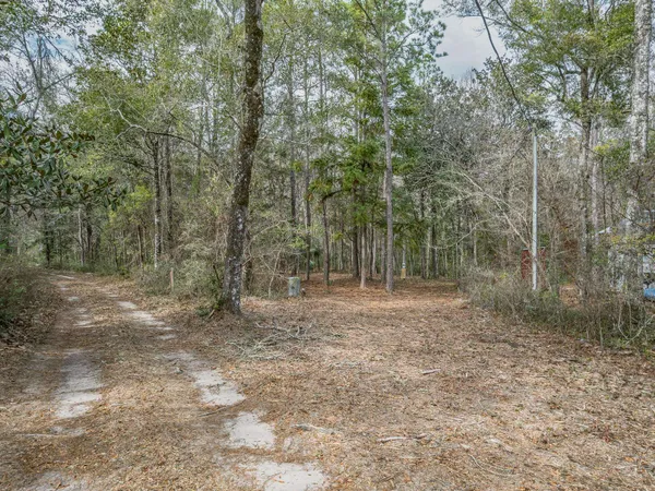 $150,000 | Lot 92 Cheyenne Drive, Sopchoppy, FL 32358
