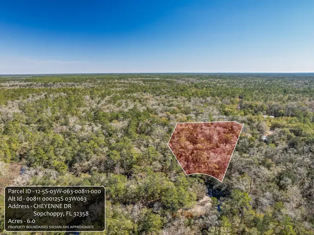 $150,000 | Lot 92 Cheyenne Drive, Sopchoppy, FL 32358