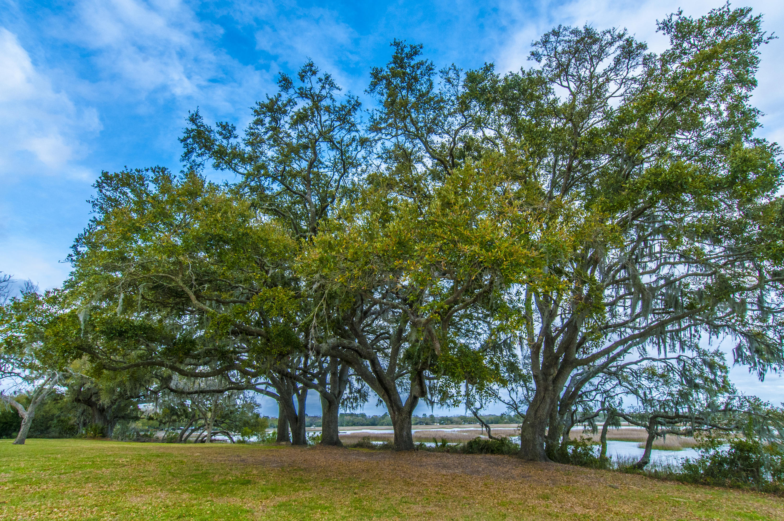4612 Westervelt Road Meggett, SC 29449 - Photo 14 of 38 _DSC1816