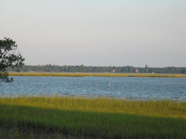 4612 Westervelt Road Meggett, SC 29449 - Photo 3 of 38 20150302151947559668000000-o
