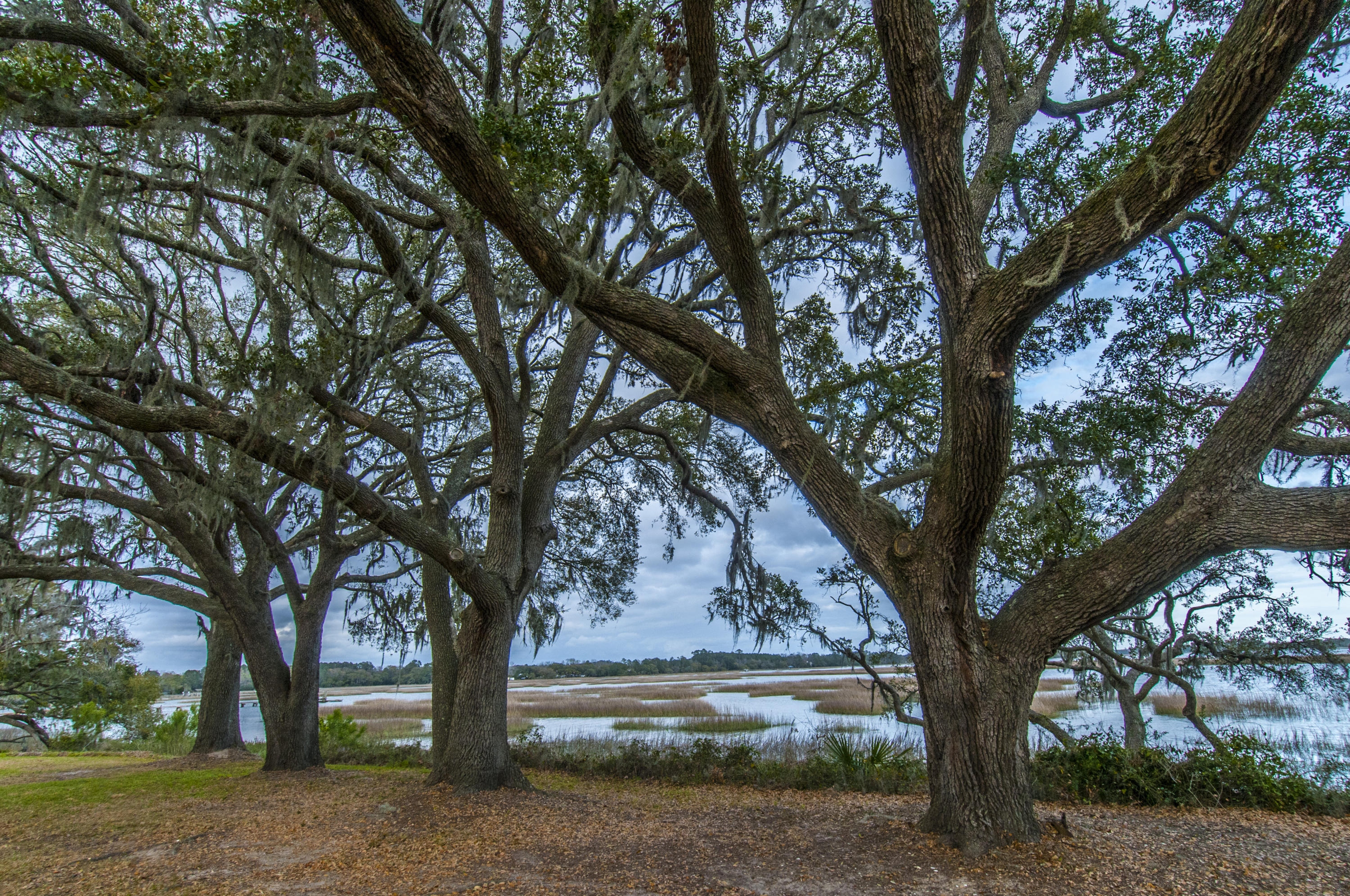 4612 Westervelt Road Meggett, SC 29449 - Photo 26 of 38 _DSC1840