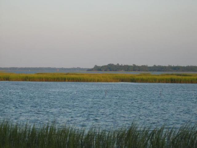 4612 Westervelt Road Meggett, SC 29449 - Photo 4 of 38 20150302152011705447000000-o