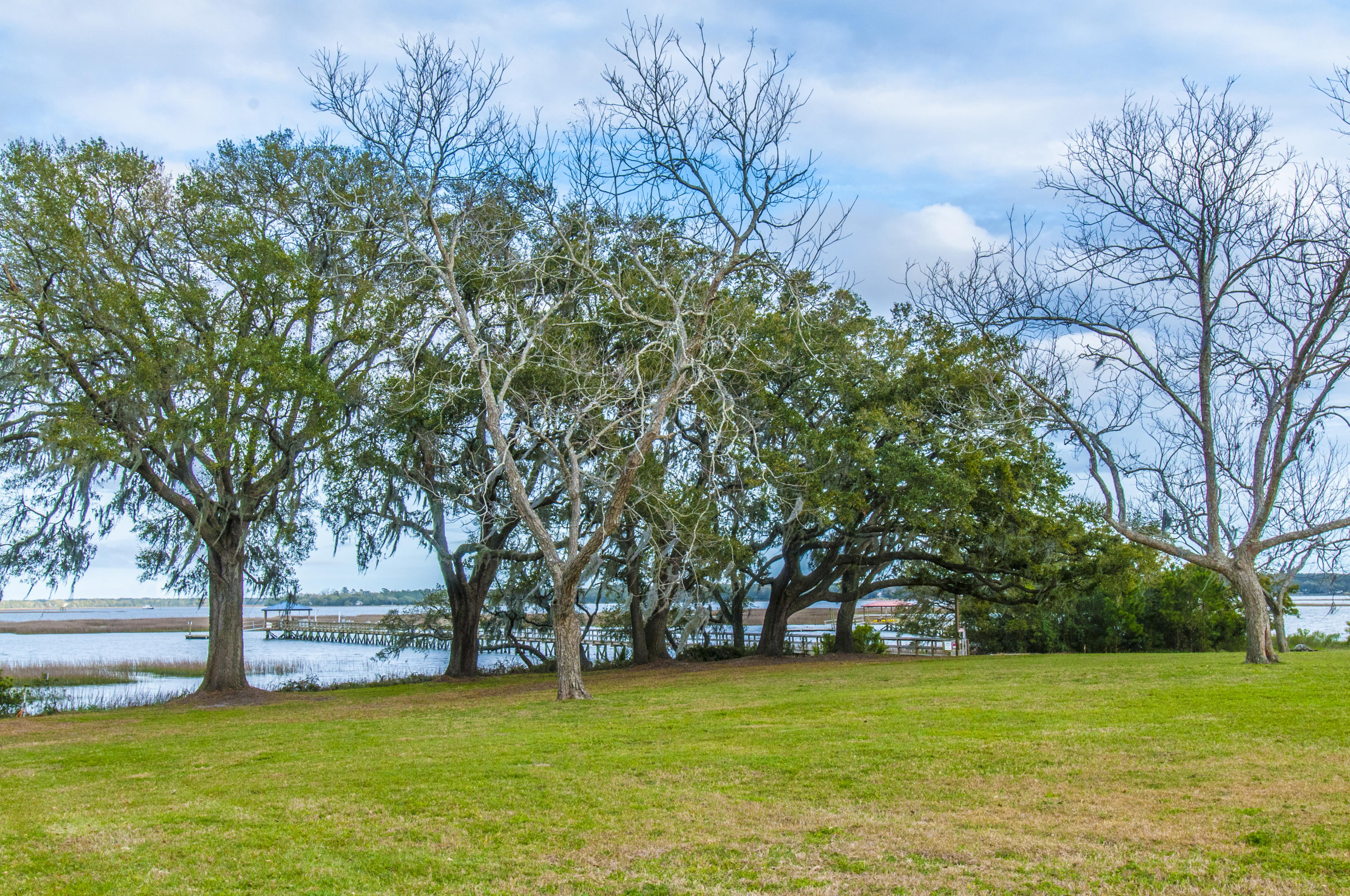 4612 Westervelt Road Meggett, SC 29449 - Photo 9 of 38 _DSC1808
