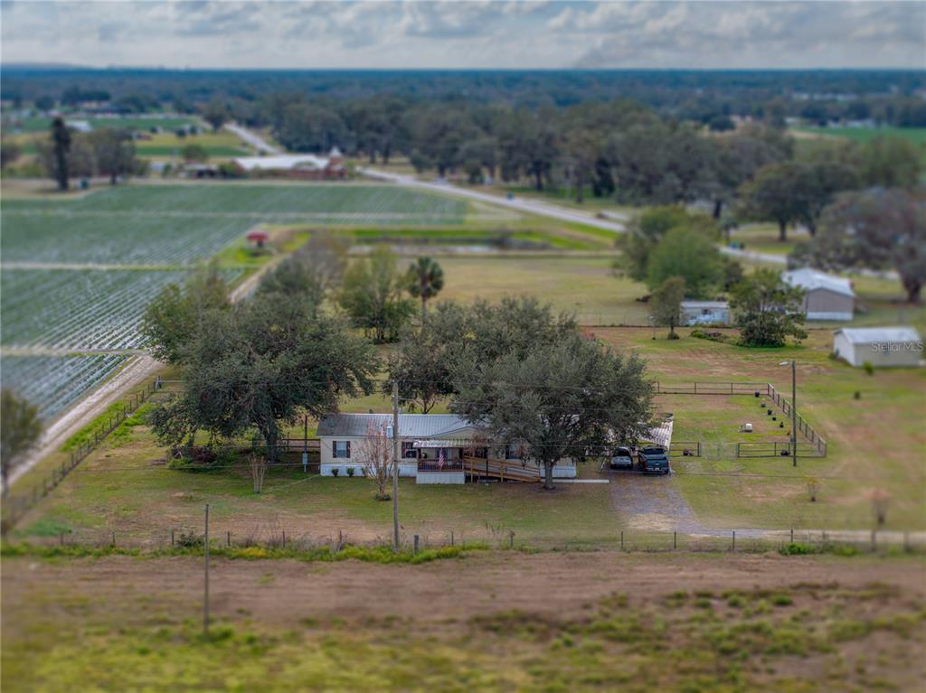 3006 Clemons Road Plant City, FL 33566 - Photo 82 of 87 Gallery Image 82
