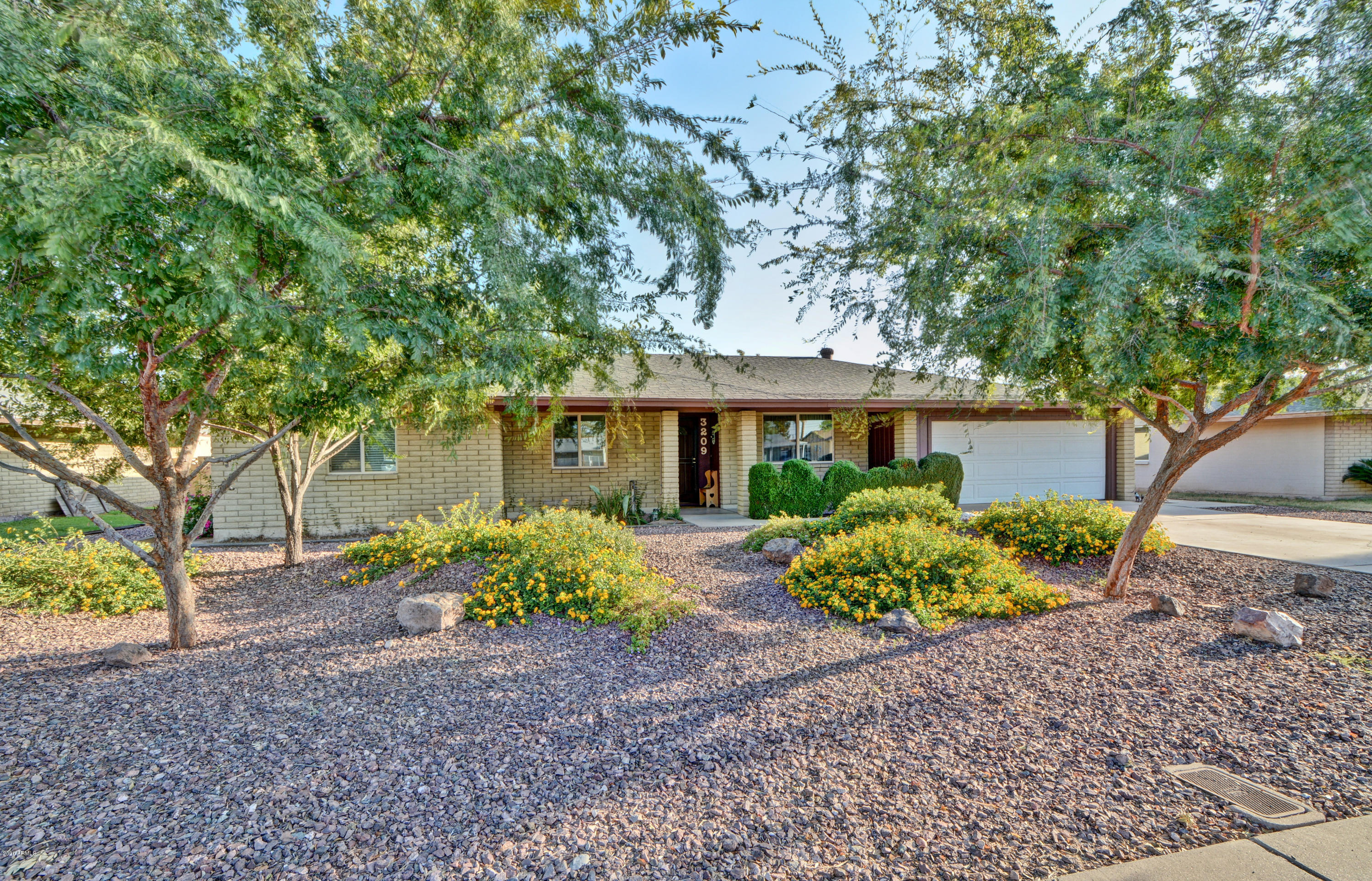 3209 West Cactus Road Phoenix, AZ 85029 - Photo 2 of 35 front view of house with a tree