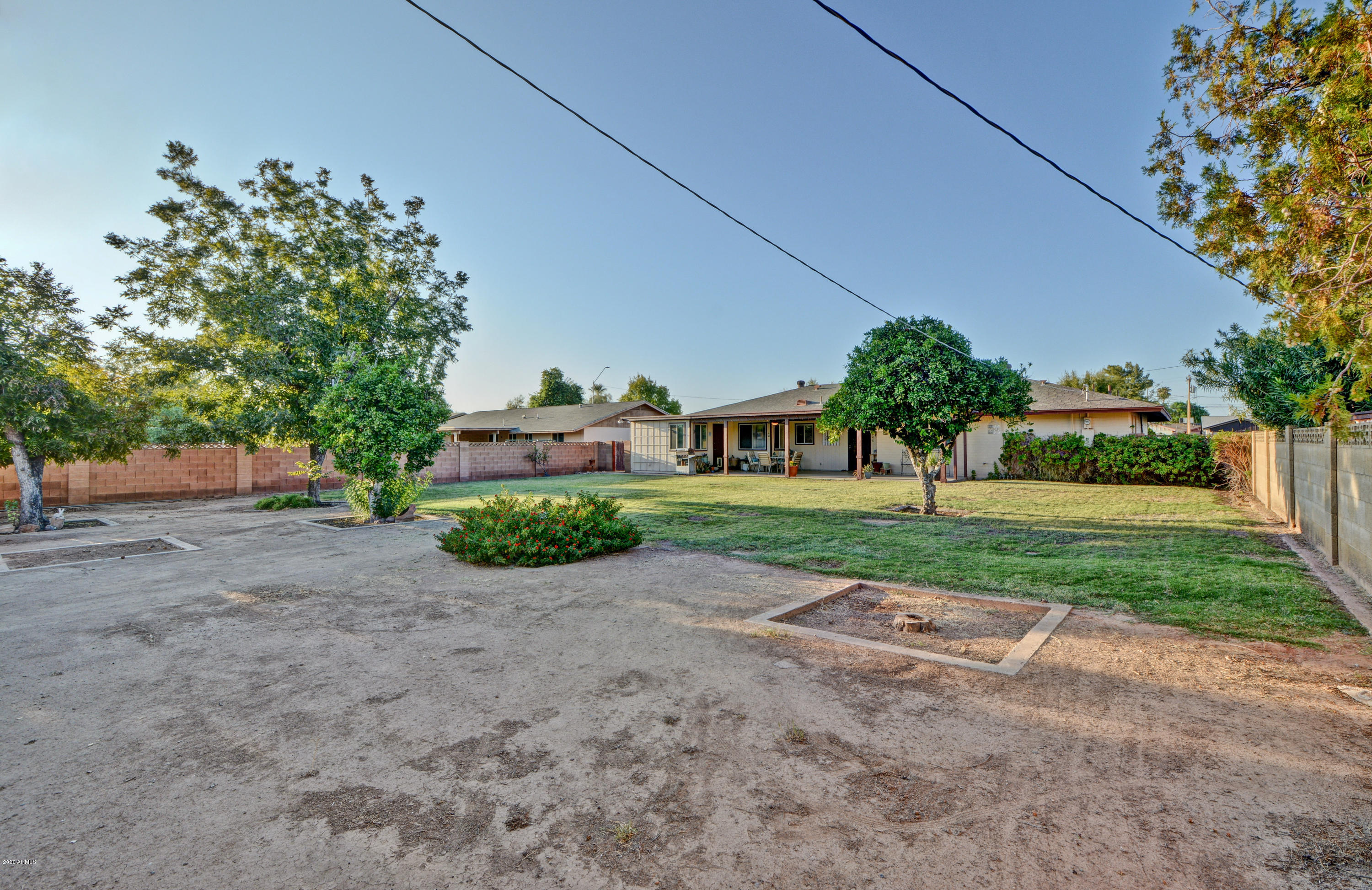 3209 West Cactus Road Phoenix, AZ 85029 - Photo 31 of 35 a view of a house with a yard and large tree