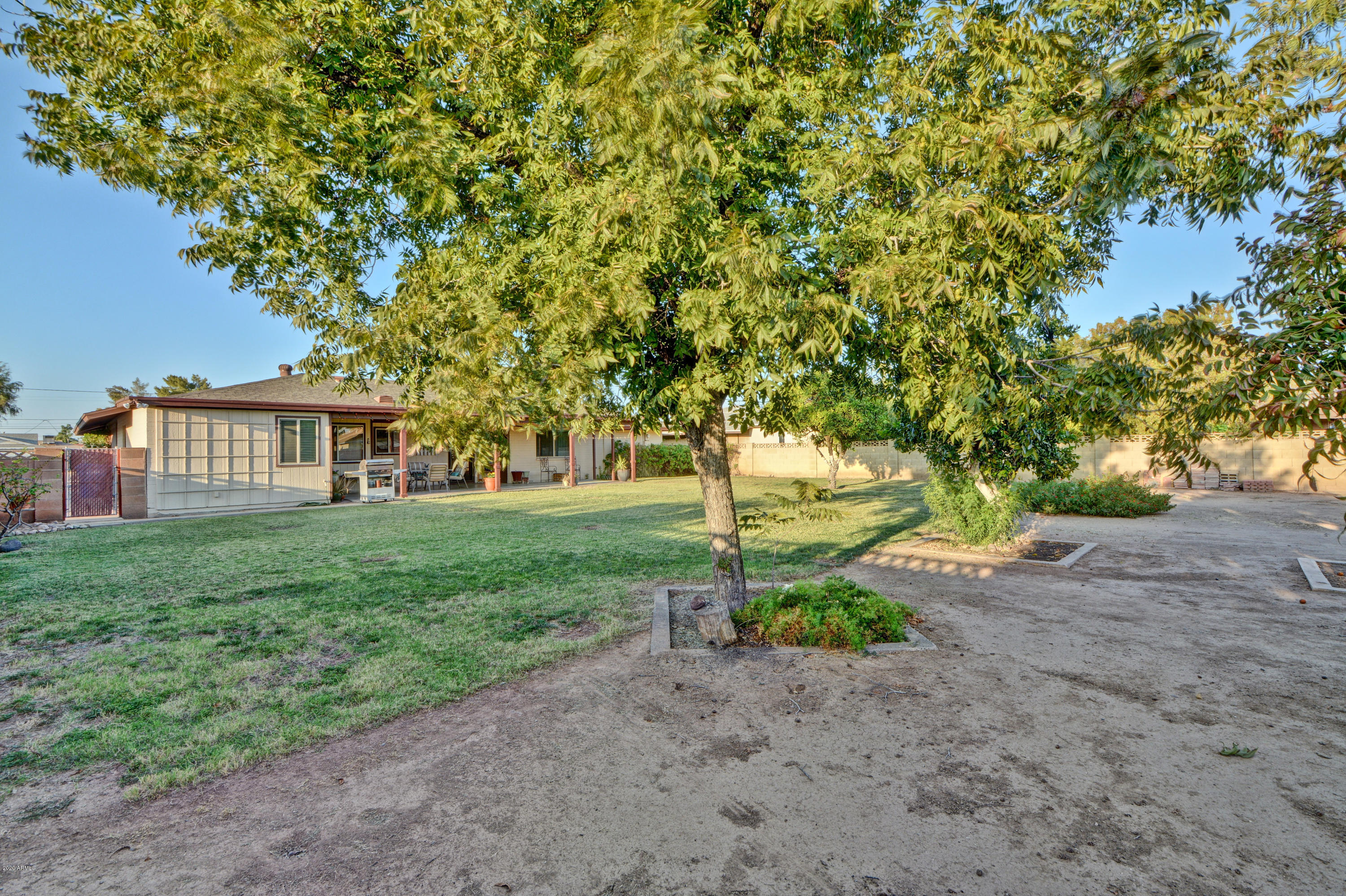 3209 West Cactus Road Phoenix, AZ 85029 - Photo 34 of 35 a view of a yard with plants and trees