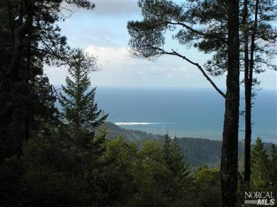 44500 Zettler Road Point Arena, CA 95468 - Photo 1 of 5 a view of lake from yard
