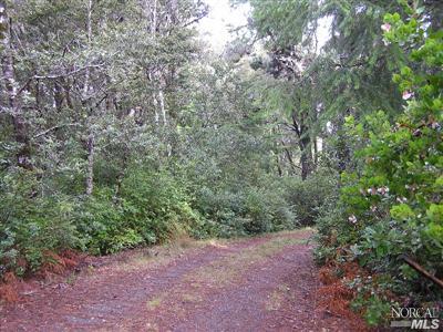 44500 Zettler Road Point Arena, CA 95468 - Photo 3 of 5 a view of a forest with trees in the background