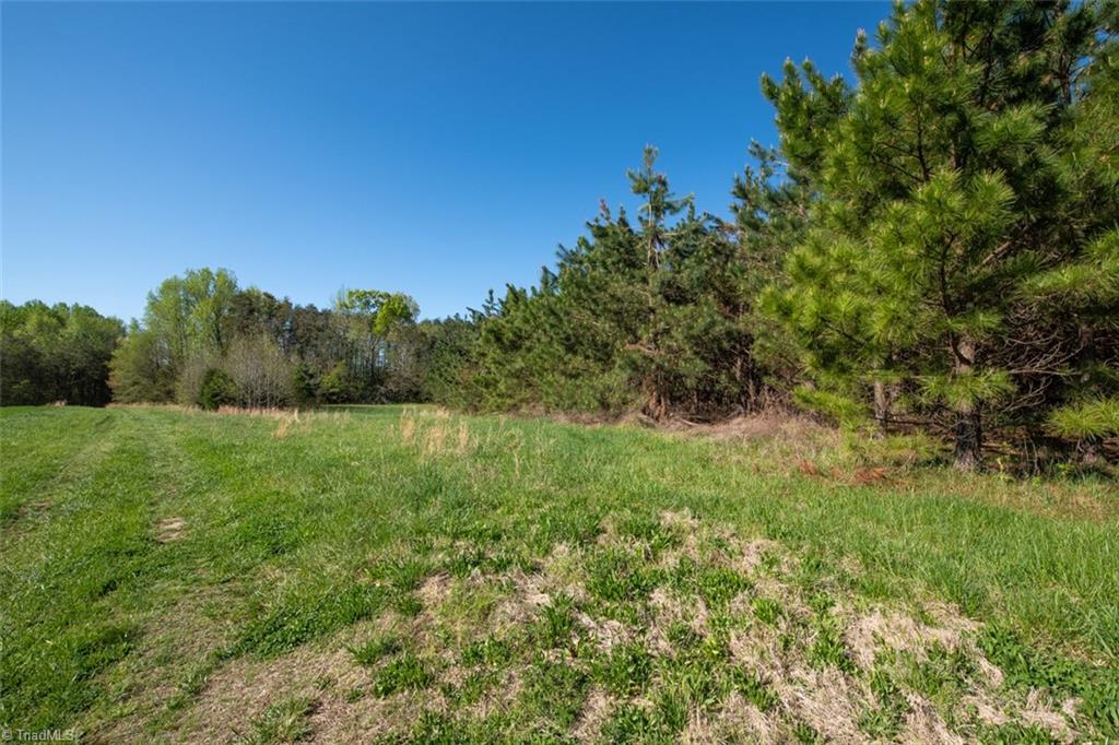 561 Strader Road Ruffin, NC 27326 - Photo 12 of 31 Gallery Image 12