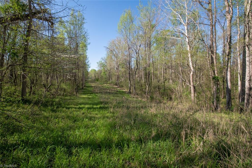 561 Strader Road Ruffin, NC 27326 - Photo 13 of 31 Gallery Image 13