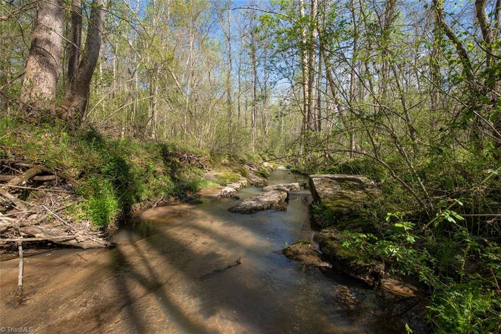 561 Strader Road Ruffin, NC 27326 - Photo 14 of 31 Gallery Image 14