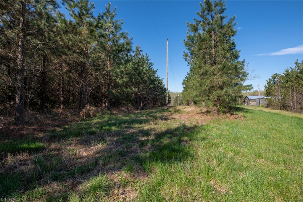 561 Strader Road Ruffin, NC 27326 - Photo 16 of 31 Gallery Image 16
