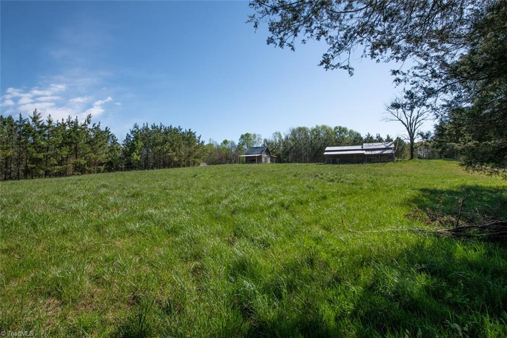 561 Strader Road Ruffin, NC 27326 - Photo 27 of 31 Gallery Image 27