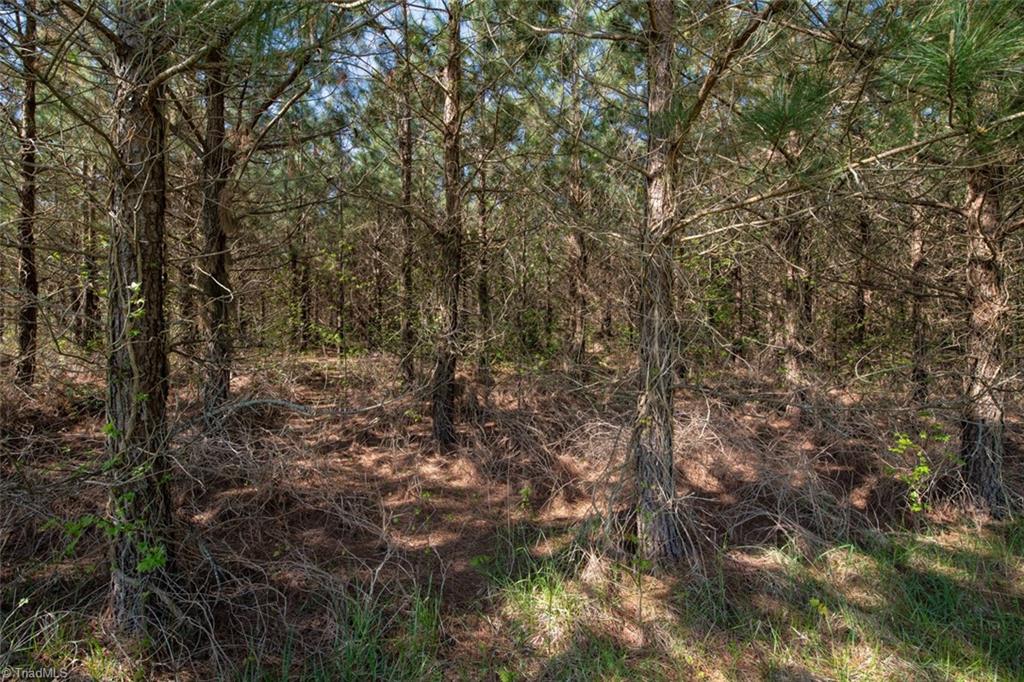 561 Strader Road Ruffin, NC 27326 - Photo 30 of 31 Gallery Image 30