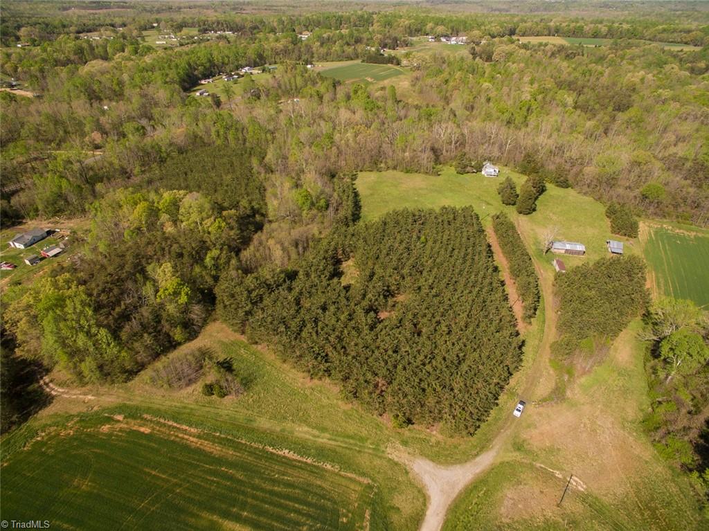 561 Strader Road Ruffin, NC 27326 - Photo 7 of 31 Gallery Image 7
